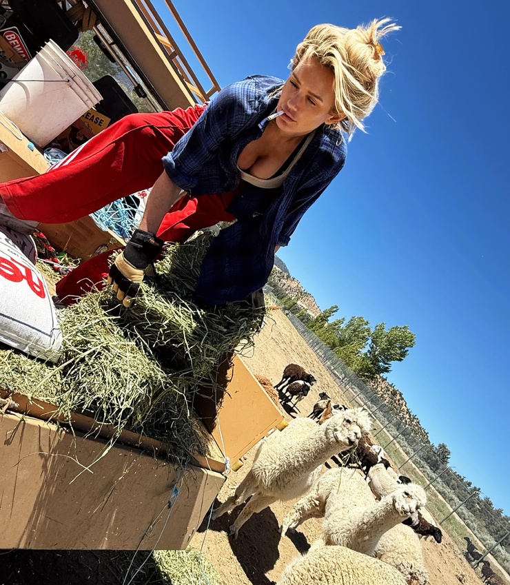 Nicky Whelan