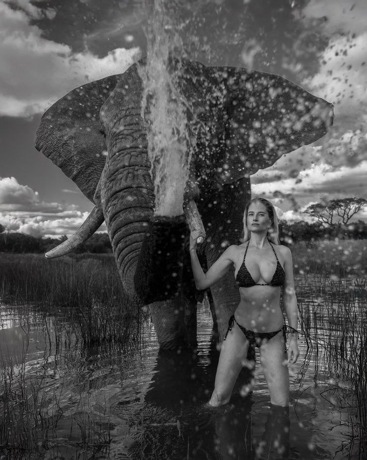 Genevieve Morton Genevieve Morton