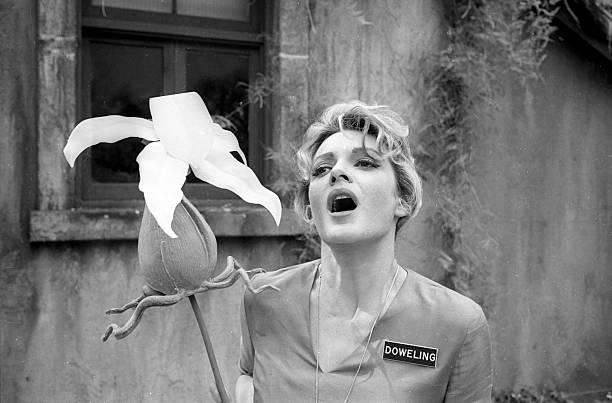 Gail Kobe