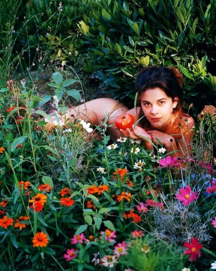 Alice Daubelcour