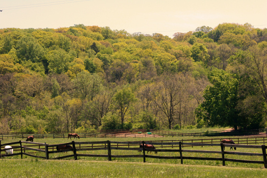Pepper Pike, Ohio