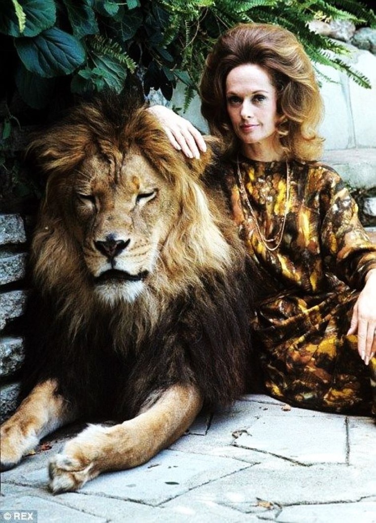 Tippi Hedren Tippi Hedren