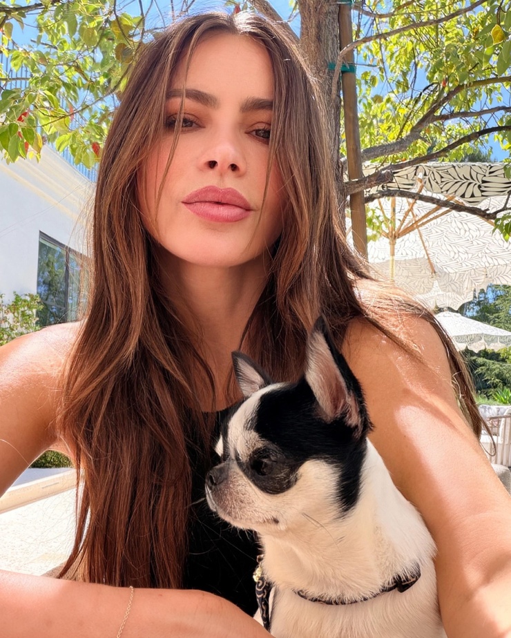 Sofía Vergara