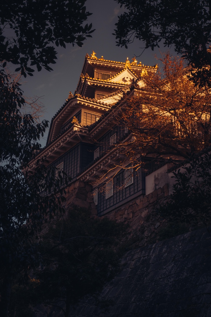 Japan 日本国