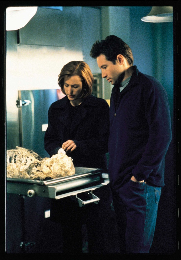 The X Files