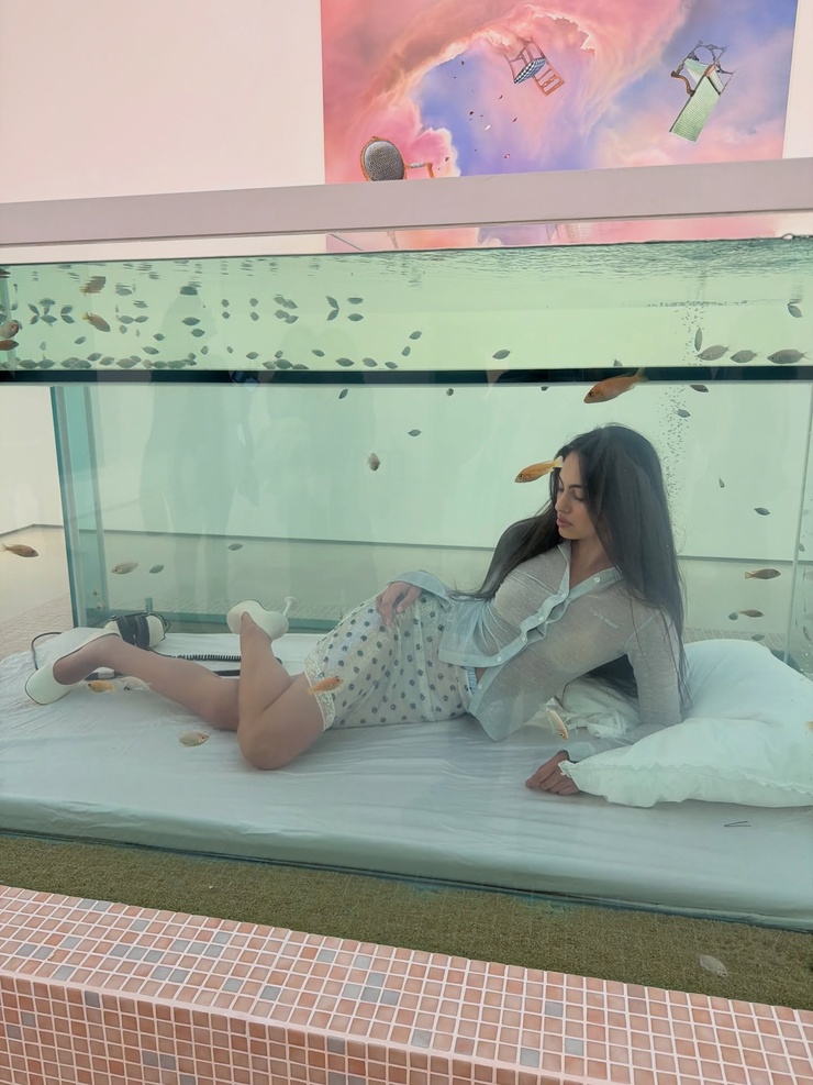 Nicole Sahebi Nicole Sahebi
