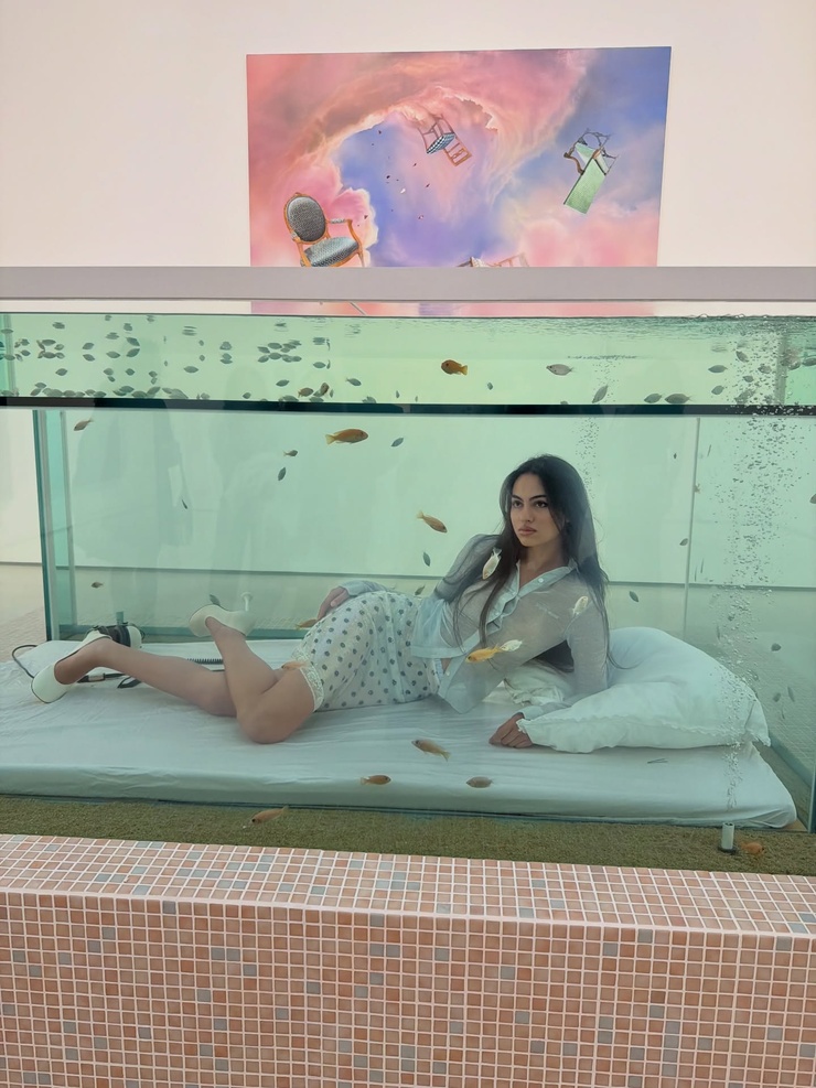 Nicole Sahebi Nicole Sahebi