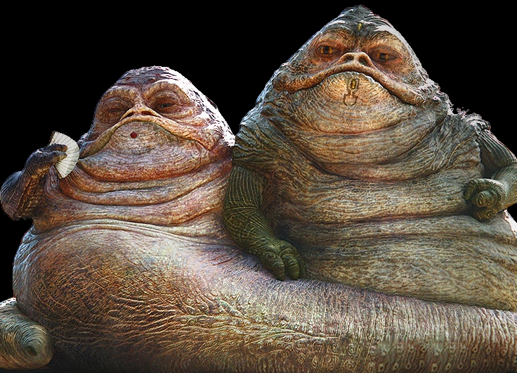 Hutt Twins