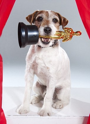Uggie Uggie
