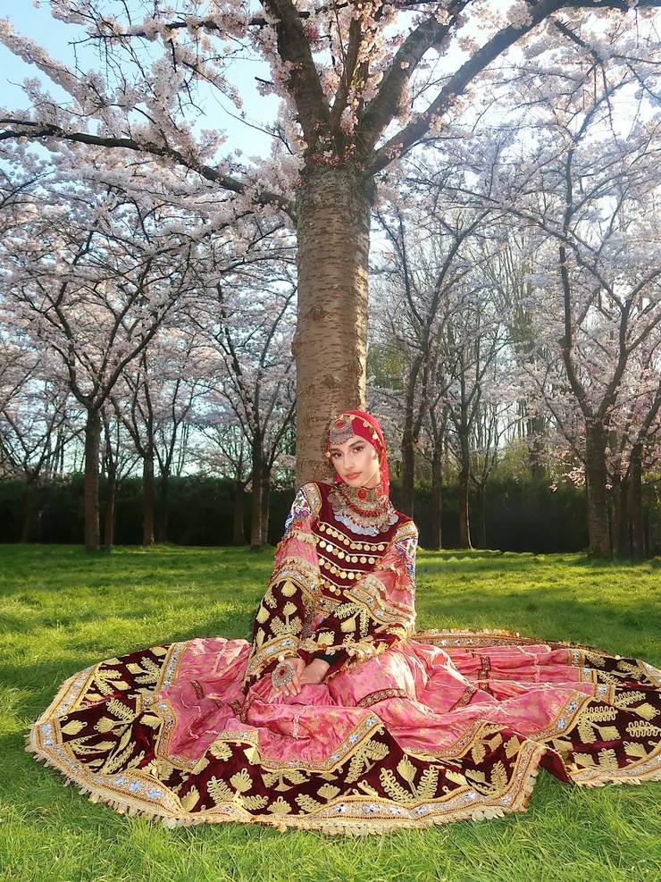 Ariana Elahi