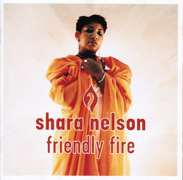Friendly Fire (1995)