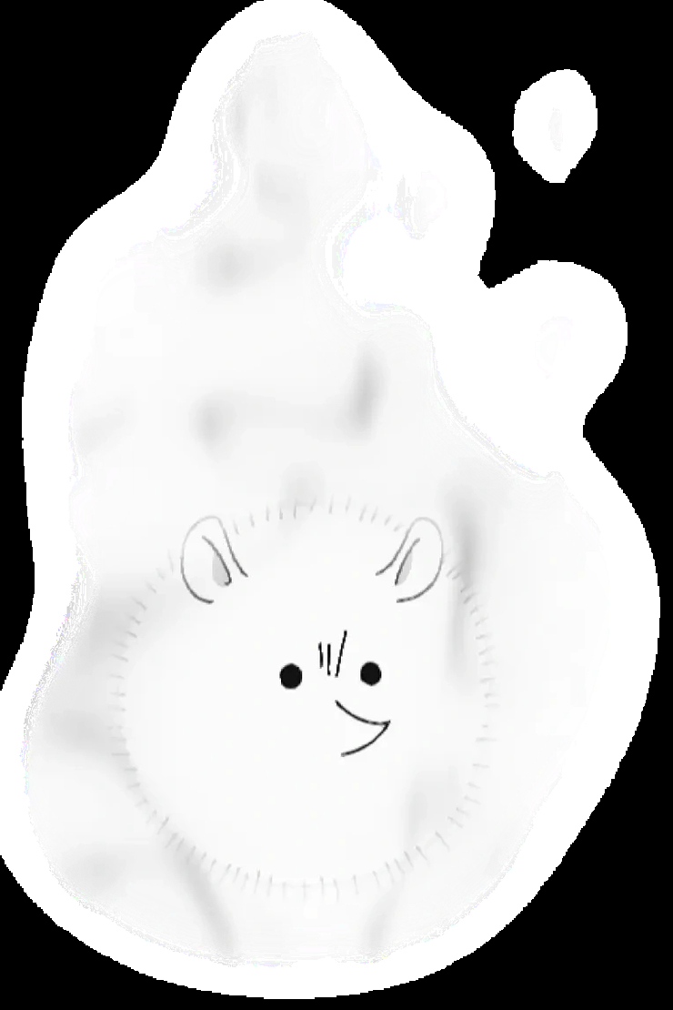 Whiteout