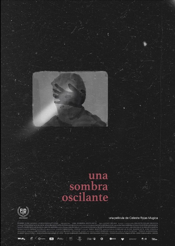 Una sombra oscilante