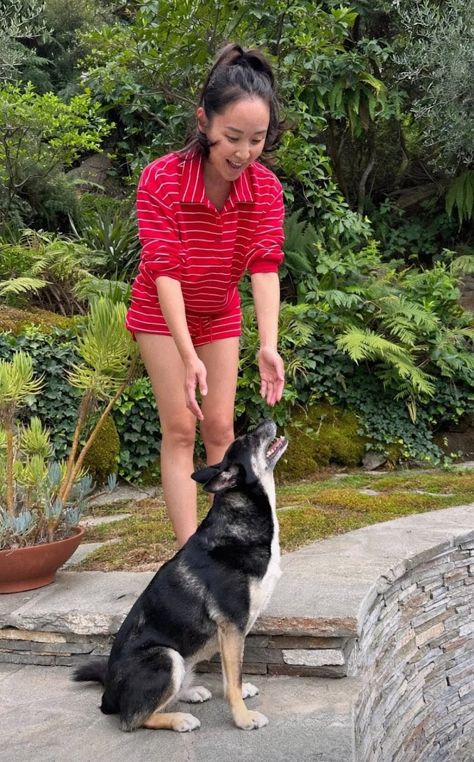 Li Jun Li