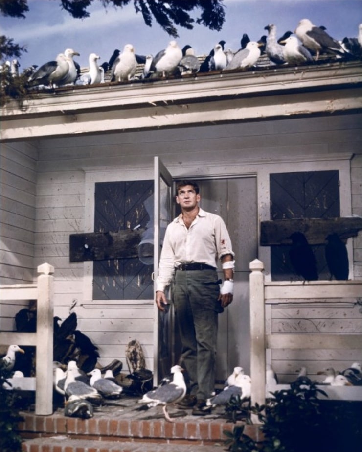 Rod Taylor