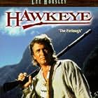Hawkeye Hawkeye