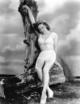 Susan Hayward Susan Hayward