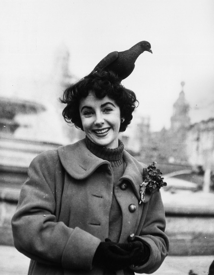Elizabeth Taylor Elizabeth Taylor