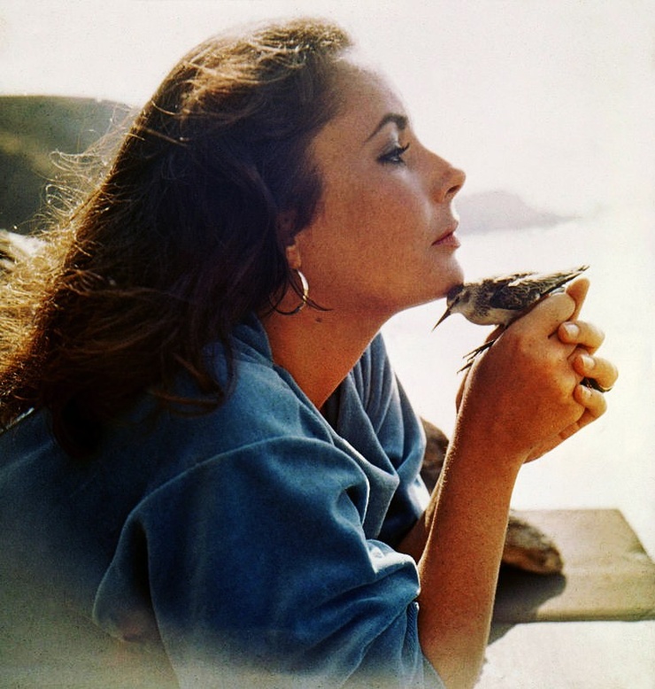 Elizabeth Taylor