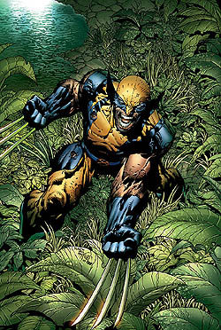 Wolverine (X-Men: The Animated Series)