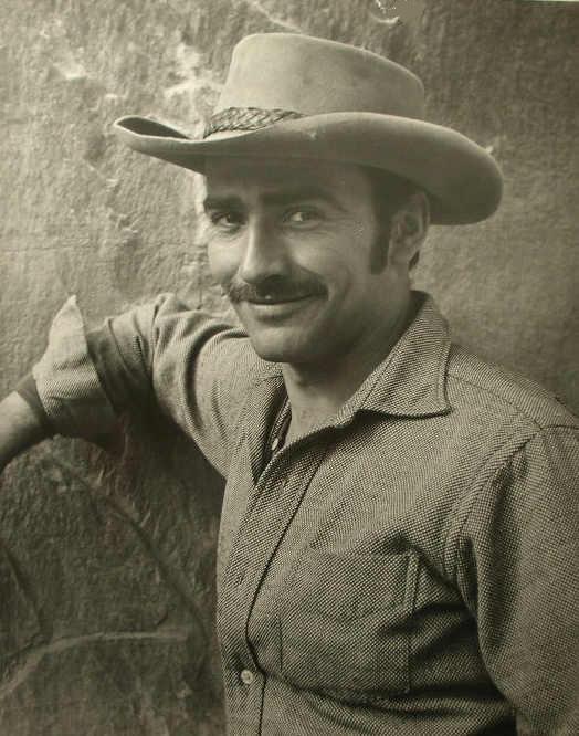 Image of James Drury