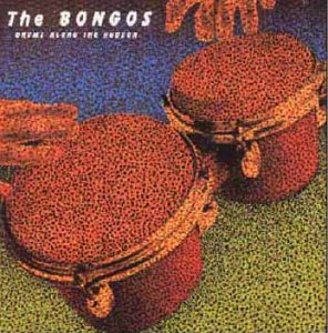 Drums Along the Hudson