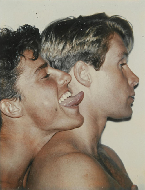 Querelle