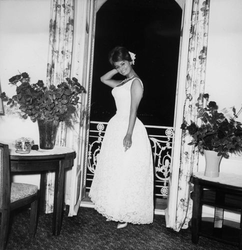 Sophia Loren