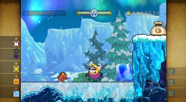 Wario Land: Shake It!