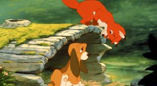 The Fox and the Hound The Fox and the Hound