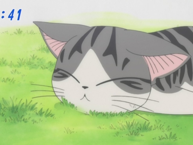 Picture of Chi's Sweet Home