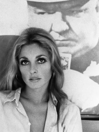 Picture of Sharon Tate