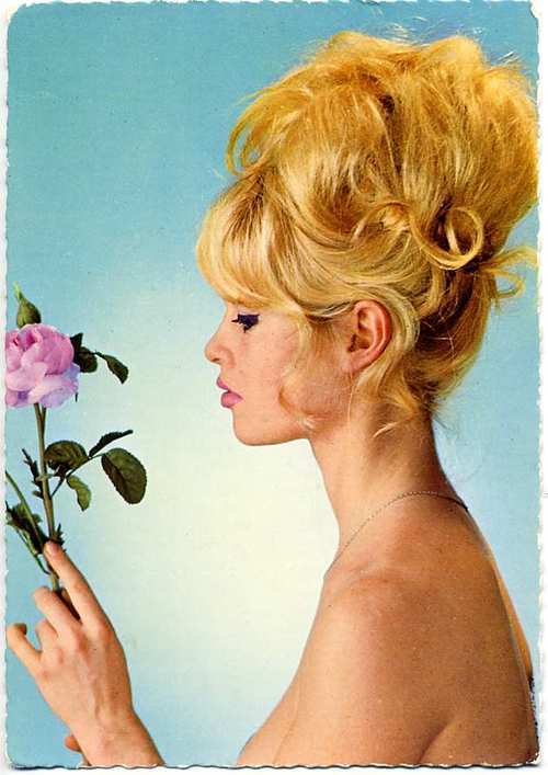 Brigitte Bardot Brigitte Bardot
