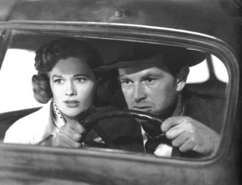 The Asphalt Jungle