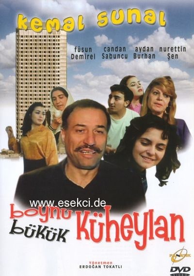 Boynu Bükük Küheylan