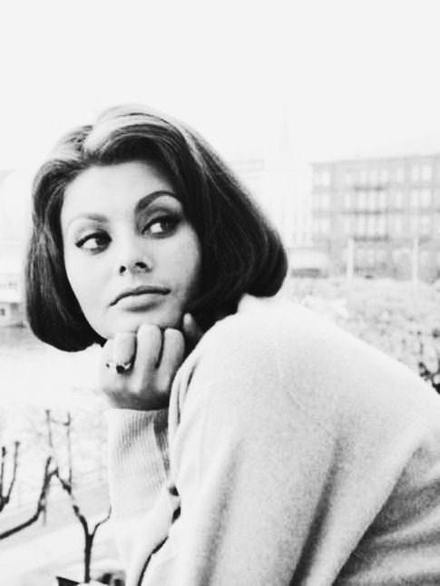 Sophia Loren