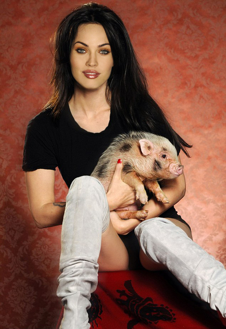 Megan Fox Megan Fox