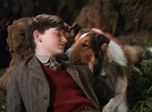 Lassie Come Home Lassie Come Home