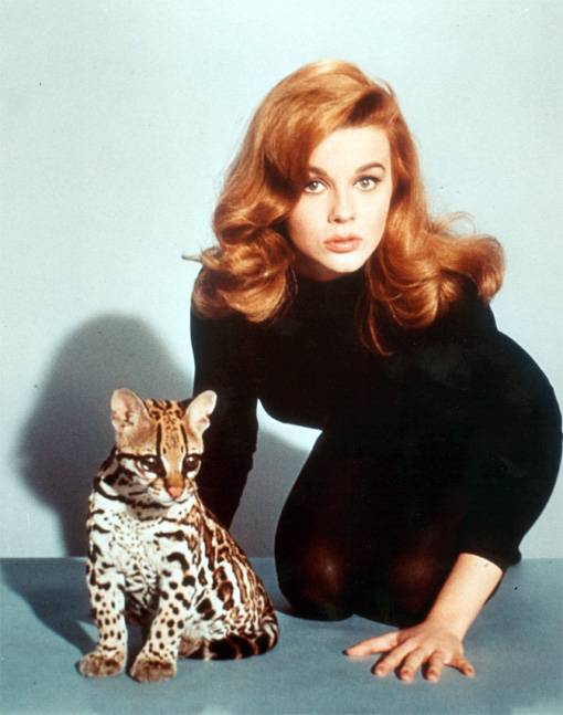 Ann-Margret Ann-Margret
