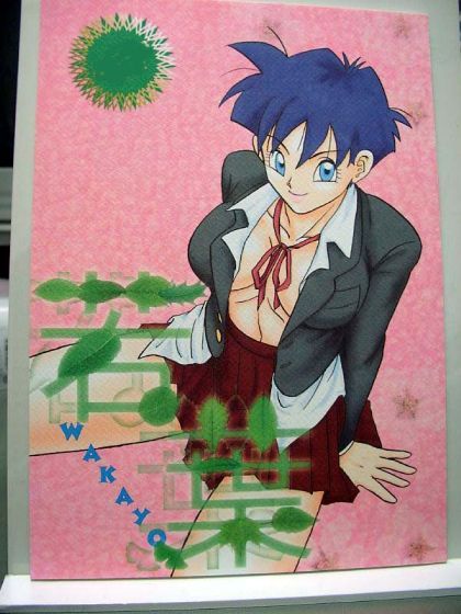 DragonBall Doujinshi: Wakayou