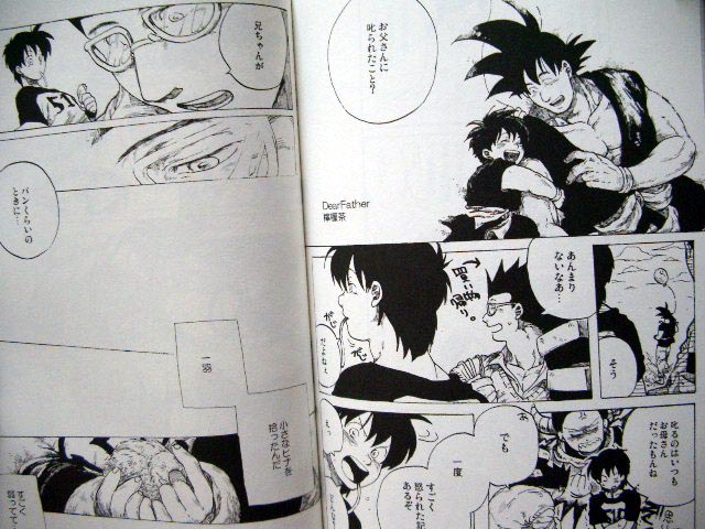 DragonBall Doujinshi: Family