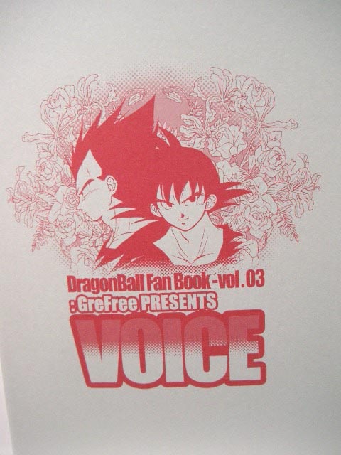 DragonBall Doujinshi: VOICE