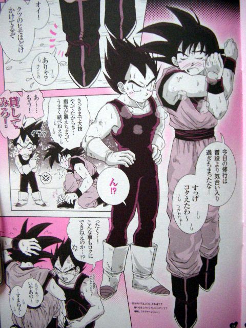 DragonBall Doujinshi: VOICE