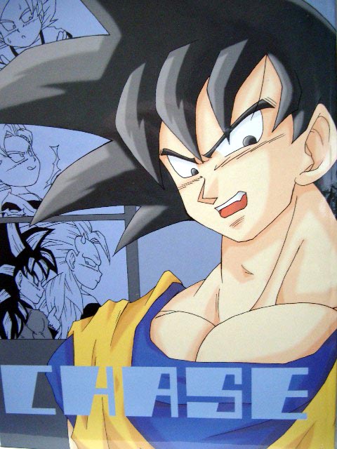 DragonBall Doujinshi: CHASE