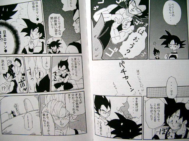 DragonBall Doujinshi: CHASE