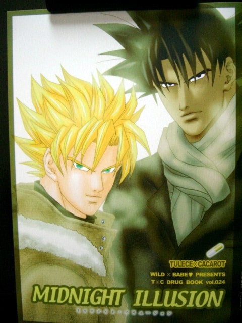 DragonBall Doujinshi: Midnight Illusion