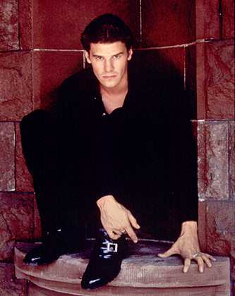 David Boreanaz