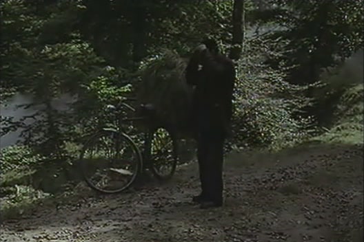 El corazón del bosque                                  (1979)