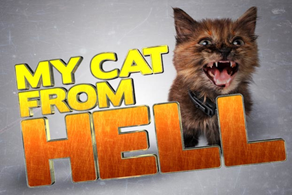My Cat from Hell My Cat from Hell