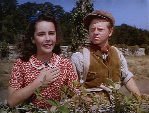 National Velvet National Velvet